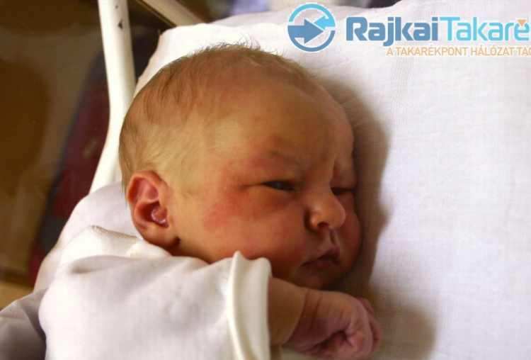 Odorics Zétény, Beled