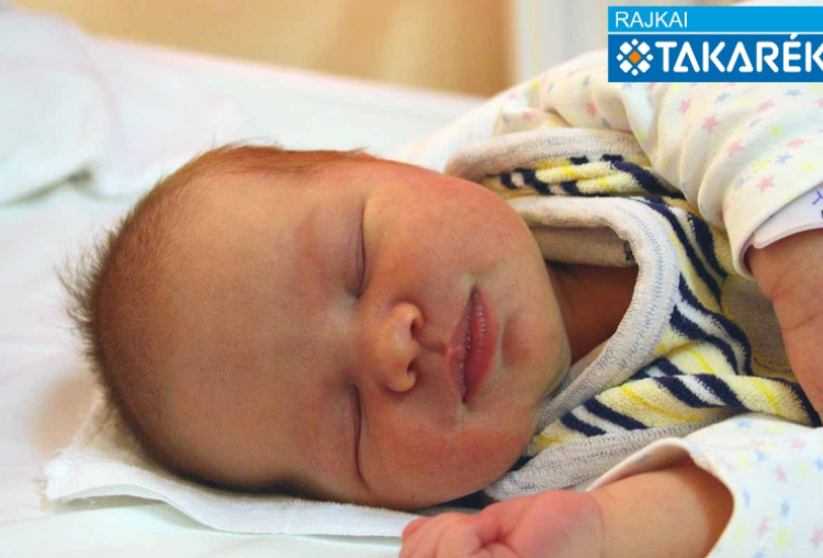 Schneider Sára, Mosonudvar