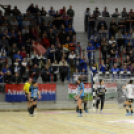 MKC SE – Alba Fehérvár KC 29-31 (17-13)