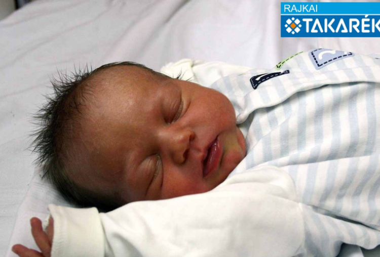 Turi Péter Milán, Csorna