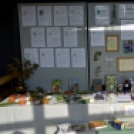 III. Szigetközi Gyógynövénynap megnyitó