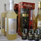 Japán nap a Flesch Központban