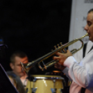 Tiszta Amerika - Vár-tó party