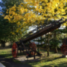 Nyílt nap a mosonmagyaróvári Tűzoltóságon - madártávlati képekkel