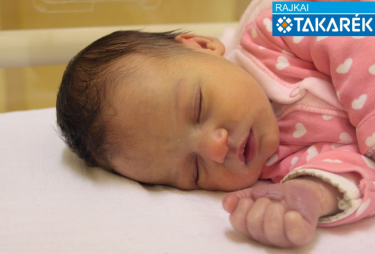 Sejlinger Zorka, Mosonmagyaróvár