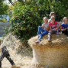 Szigetköz ízei, vármegye borai fesztivál / VÁRMEGYE SZÉPE - VÁRMEGYE HANGJA (Fotó: Horváth Attila)