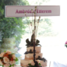 Mosonmagyaróvári Esküvői Kiállítás 2014.