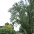 Halgazdálkodási törvény sajtótájékoztatója (Fotó: Nagy Mária)