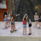 Nyárcsalogató (Fotó: Nagy Mária)