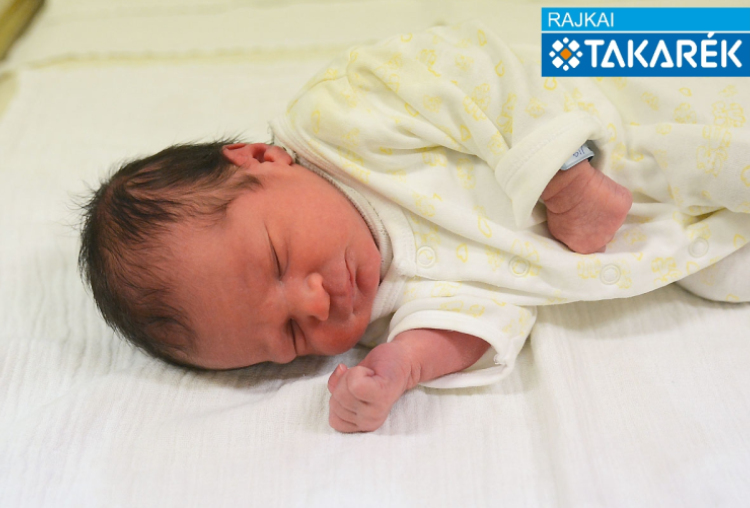 Demjén Dávid, Mosonmagyaróvár