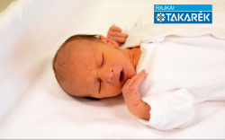 Lang Richárd, Kisbodak