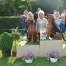 CAC kutyakiállítás (Fotó: Nagy Mária)