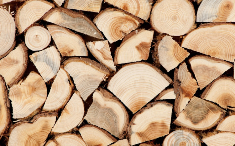 Tűzifa akciós áron
