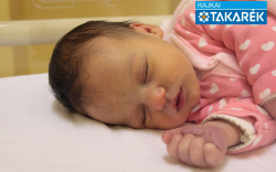 Sejlinger Zorka, Mosonmagyaróvár