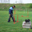 Agility - Hobby Kutyások részére (Fotó: Nagy Mária)