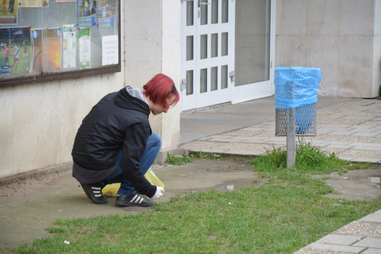 Szemét szedés (Fotó: Nagy Mária)