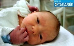 Karácsony Levente, Mosonmagyaróvár