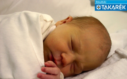 Bódis Helga, Jánossomorja