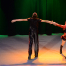 Jótékonysági Műsor