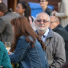 Szigetköz ízei, vármegye borai fesztivál - péntek (Fotó: Nagy Mária)