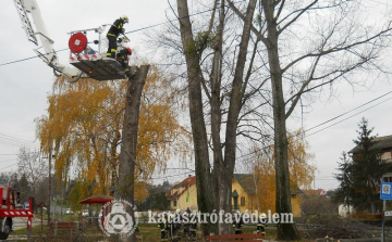 Nem okozott gondot a havazás 