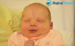 Brasch Mira, 3430 gr. Móvár