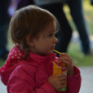 Szigetköz ízei, vármegye borai fesztivál - péntek (Fotó: Nagy Mária)