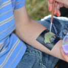 4. Kéklámpás Nap (Fotó: Horváth Attila)