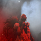 Voluta 1 nap (Fotó: Stipkovits Veronika és Bánhegyi István)