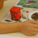 8 lépésben a világ körül - Családi délután a Rakovszky kiállításban (Fotó: Horváth Attila)