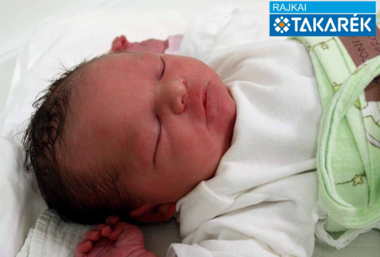 Antoni-Baca Karolina, Mosonmagyaróvár