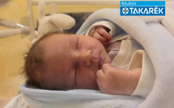 Németh Noel, Mosonmagyaróvár