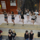 Nyárcsalogató (Fotó: Nagy Mária)