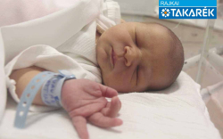 Vakán Attila, Jánossomorja