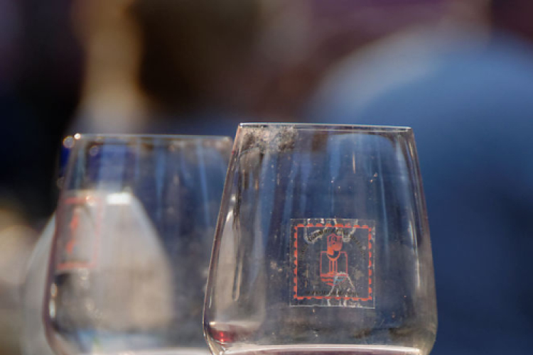 Szigetköz ízei, vármegye borai fesztivál / VÁRMEGYE SZÉPE - VÁRMEGYE HANGJA (Fotó: Horváth Attila)