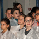 Kőrisfacsemetéket ültettek a diákok a Nolato Magyarország Kft telephelyén