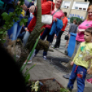 Apró kezek, csodakertek kertépítő verseny (Fotó: Horváth Attila)