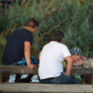 Mosoni Nyárbúcsúztató (Fotó: Nagy Mária)