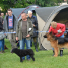 CAC kutyakiállítás (Fotó: Nagy Mária)