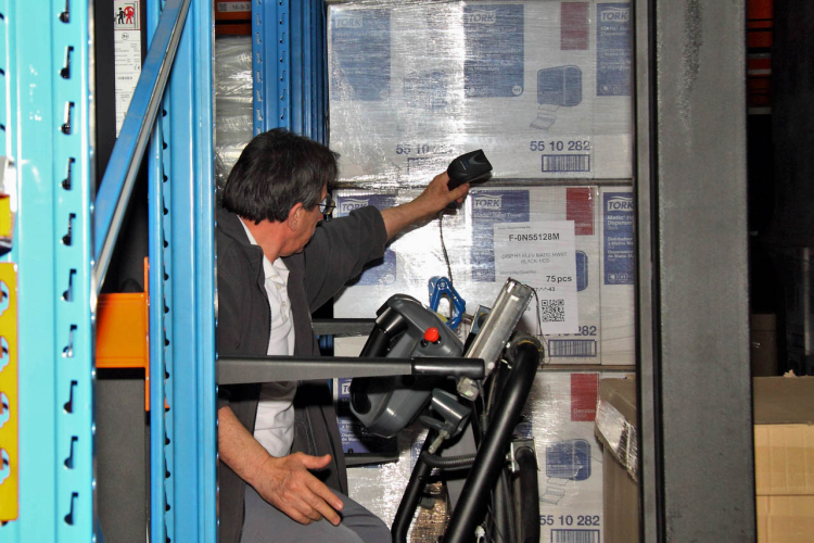 Kőrisfacsemetéket ültettek a diákok a Nolato Magyarország Kft telephelyén