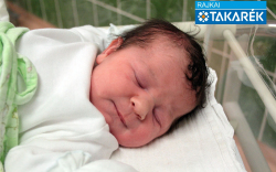 Markó Hanna Léna, Jánossomorja