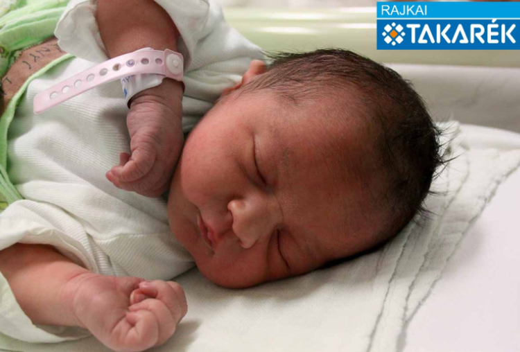 Ladányi Liliána, Mosonmagyaróvár