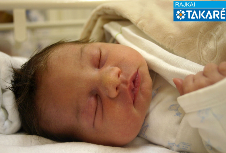 Tóth Kira, Kapuvár