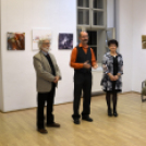 Színes világom - Györkös Erzsébet kiállítása