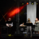 Tiszta Amerika - Vár-tó party