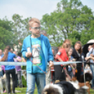 CAC kutyakiállítás (Fotó: Nagy Mária)