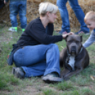 Szigetköz ízei, vármegye borai fesztivál - péntek (Fotó: Nagy Mária)