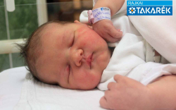 Godó-Luca Jázmin, Mosonmagyaróvár