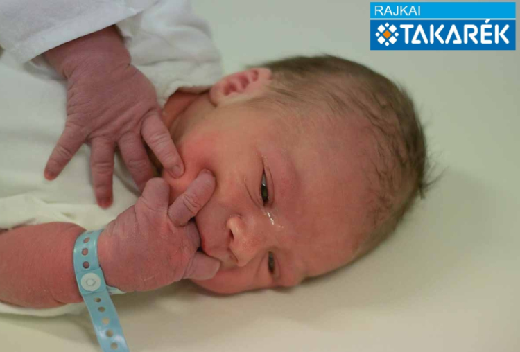 Péntek Dávid Albert, Jánossomorja