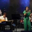 Moson Big Band koncert, Garden party